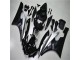 R6 2006-2007 - Argent Noir