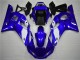 R6 1998-2002 - Blanc Bleu R6 1998-2002 - Blanc Bleu
