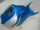 CBR 1000 RR 2006-2007 - Bleu Argent CBR 1000 RR 2006-2007 - Bleu Argent