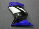 EX250 2008-2012 - Bleu Blanc Noir Ninja EX250 2008-2012 - Bleu Blanc Noir Ninja