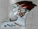 R6 2006-2007 - Brun Blanc R6 2006-2007 - Brun Blanc