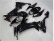 ZX10R 2008-2010 - Noir Brillant ZX10R 2008-2010 - Noir Brillant