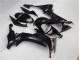 ZX10R 2008-2010 - Noir Brillant ZX10R 2008-2010 - Noir Brillant