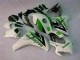 CBR 1000 RR 2008-2011 - Vert Blanc CBR 1000 RR 2008-2011 - Vert Blanc