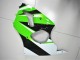 ZX6R 2000-2002 - Vert Blanc Noir ZX6R 2000-2002 - Vert Blanc Noir