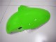 ZX6R 2000-2002 - Vert Blanc Noir ZX6R 2000-2002 - Vert Blanc Noir