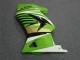 EX250 2008-2012 - Vert Blanc Noir Ninja
