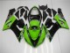 ZX6R 2005-2006 - Vert ZX6R 2005-2006 - Vert