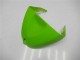 ZX6R 2005-2006 - Vert ZX6R 2005-2006 - Vert
