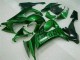 ZX10R 2008-2010 - Vert Flamme ZX10R 2008-2010 - Vert Flamme