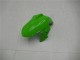 EX300 2013-2016 - Vert Noir Argent EX300 2013-2016 - Vert Noir Argent