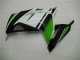 EX300 2013-2016 - Vert Noir Argent EX300 2013-2016 - Vert Noir Argent