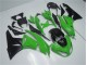ZX6R 2009-2012 - Vert Noir ZX6R 2009-2012 - Vert Noir