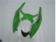 ZX6R 2009-2012 - Vert Noir ZX6R 2009-2012 - Vert Noir