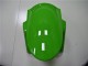 ZX6R 2013-2018 - Vert Noir ZX6R 2013-2018 - Vert Noir